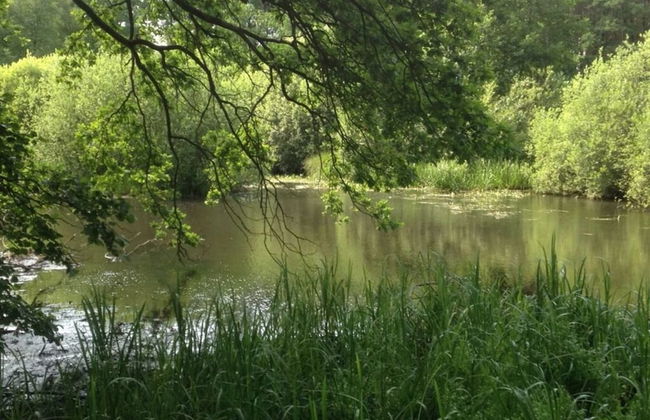 Holiday Home Lehrdetal - Foto 15