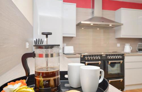 Pedals And Paddles - Foto 9