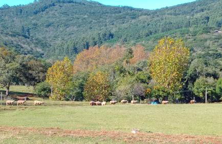 Quinta da Boa Vista São Chico - Foto 60