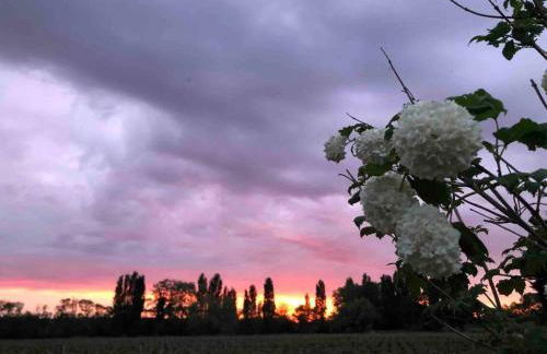 Château Bernon Gite 15 Personnes - piscine et SPA - Foto 41