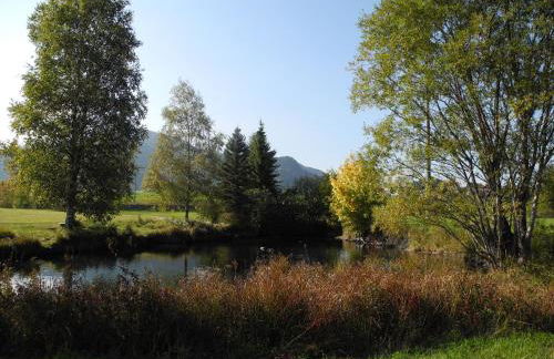 Haus Regina - Foto 13