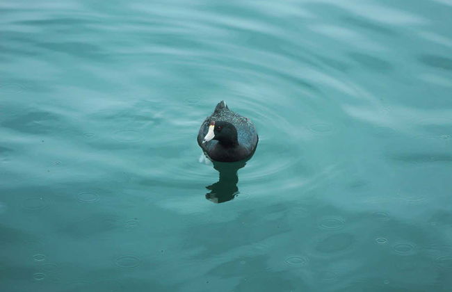 Excursion à Santa Maria del Oro - Photo 8