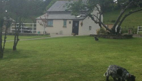 The Little cow shed - Foto 5