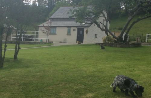 The Little cow shed - Foto 5