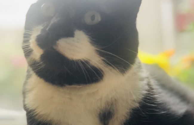 Agelandkaai.be - Photo 2