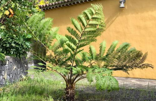 RUSTIC HOUSE LA MONTAÑA - Foto 13