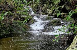 Ocean Breeze - Foto 40