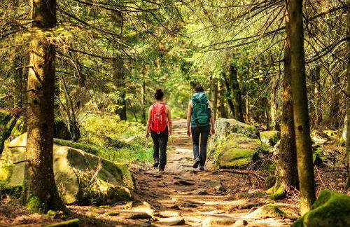 Black Forest Luxury Apartment Bärenhöhle mit Sauna - Foto 39