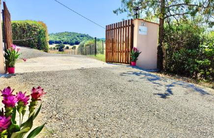 Agriturismo Lo Scalandrino - Foto 6