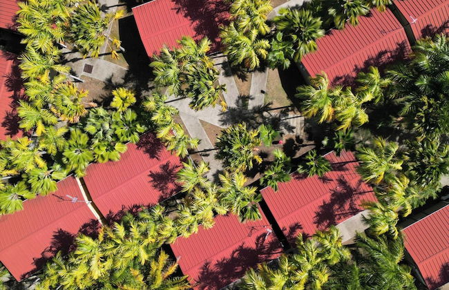 Le Village de la Pointe - Photo 55