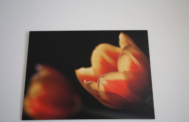 Apartment 30 Meters From The Sea 6 Beds Without Sea View - Foto 39