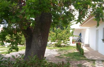 Apartman La maison - Foto 50