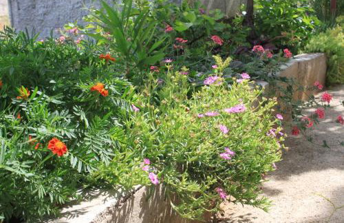 Apartments by the sea Tkon, Pasman - 8218 - Foto 12