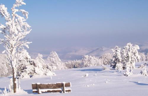 Fewo Wilke - Foto 11