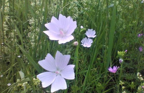 Townhouse W Private Deck & Mt View - Foto 62