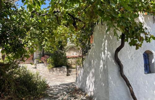 Accetto, Stone House With Pool - Foto 46