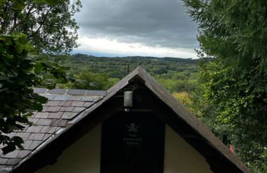 Coed Y Ddraig - themed 3 bedroom cottage, with bar & pool table - Photo 41