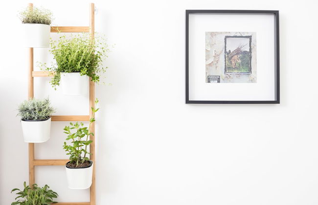 CHILL Apartments - Photo 12