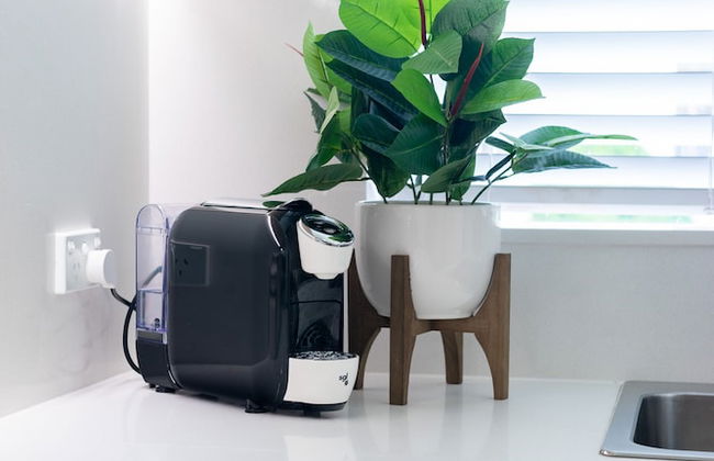 Bondi Beach Oasis - Photo 14