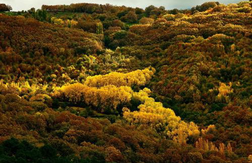 Casas Rurales Acebuche en Valle del Ambroz - Foto 97