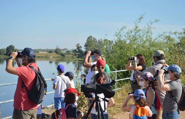 Birdwatching a Badajoz - Foto 1