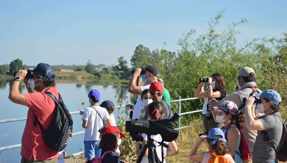 Profitez de l'activité