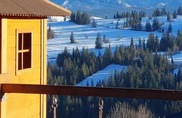 Dom Tatrzański Widok - Foto 22