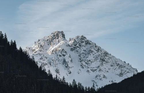 Appartement skis aux pieds pour familles avec balcon et parking - FR-1-864-4 - Foto 6