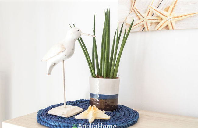 Trilocale Piano Terra Dune - Foto 22