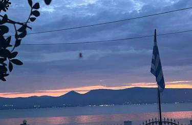 Sea front house & garden, Oropos - Foto 12