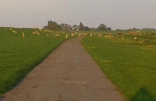 Luxus Chalet mit Terrasse, sehr ruhig in Kollmar - Foto 11
