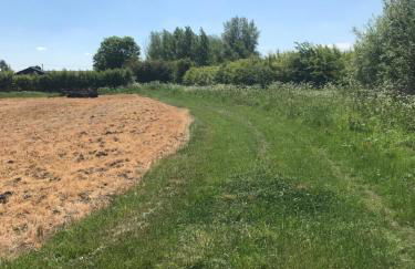 The HopBarn - Foto 10