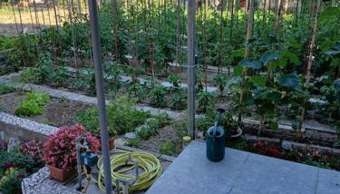 Cozy and nice apartment - Foto 3