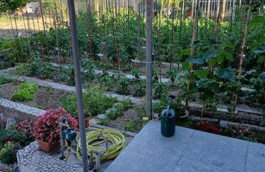 Cozy and nice apartment - Foto 3