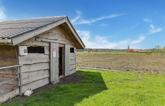 Cottage on Sheep Farm With Gelateria - Foto 36