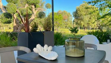 VITA VIVET Guest House - Foto 5, Garden, Garden view