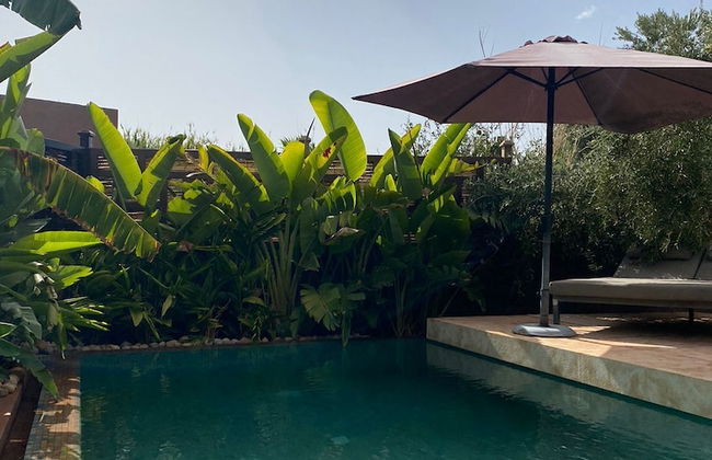 Le Figuier du lac - Photo 49