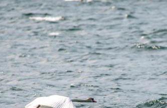 Casa MICHI - Photo 26