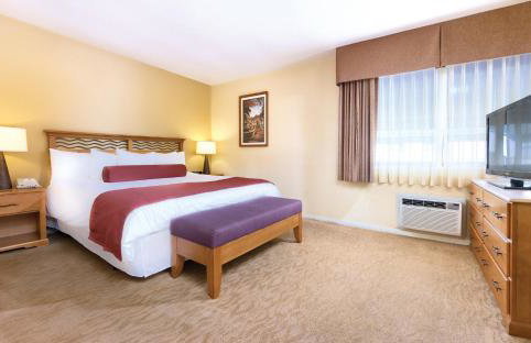 Wyndham Dolphin's Cove 1BR Suite with Resort Access - Foto 13