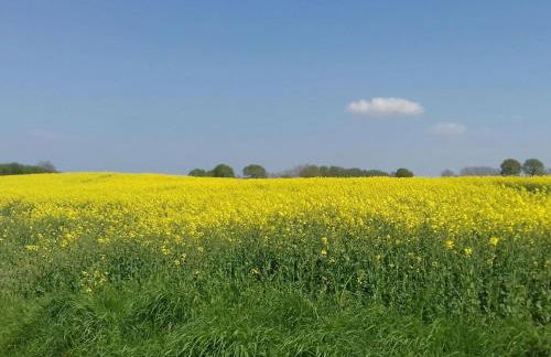 Holiday apartment 2 in the Maaßen country house - Foto 30