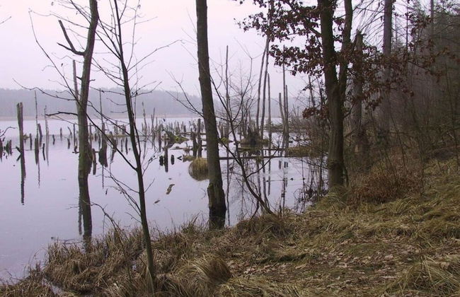 Schroder at the Aerie - Foto 9