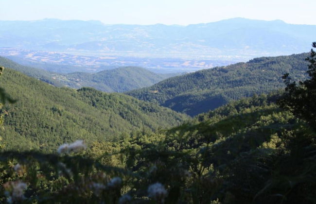 Holiday Home Monte Santa Maria Pool Retreat - Foto 23