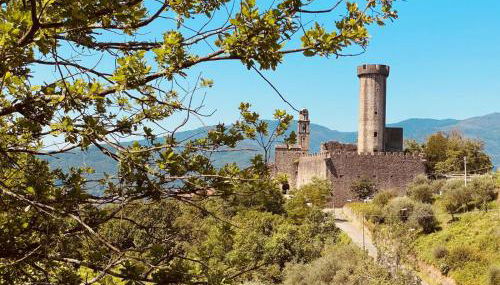 Appartamenti l'Olivo - Foto 4