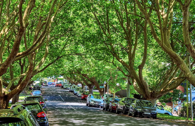 Ponsonby Holiday Home Near The City - Foto 23