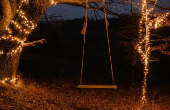 Lawendowy Wypas - Foto 21