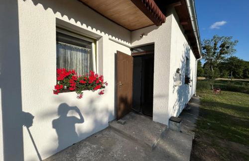 Agroturystyka Willy - Foto 28