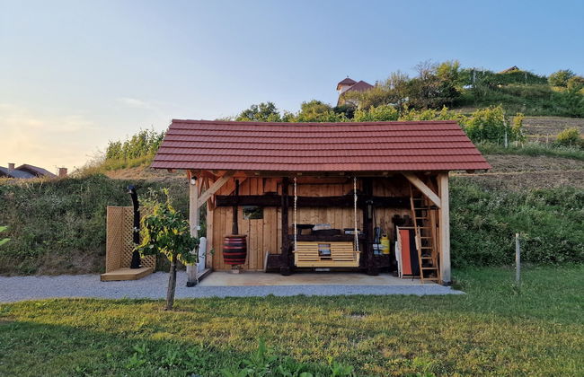 Vineyard cottage Vinska grajska kašča - Foto 47