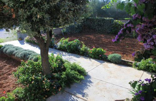 Apartments by the sea Ugljan - 348 - Foto 7