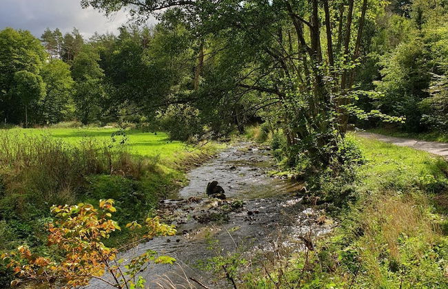 Familiehuis Dolve - Photo 64