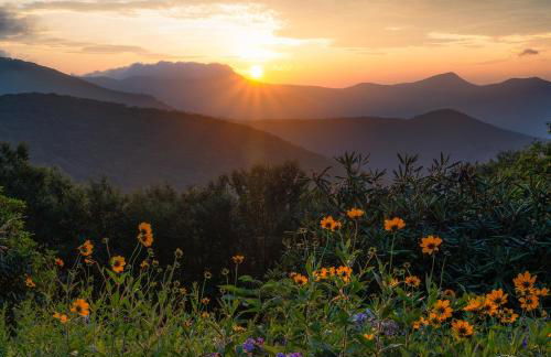 The Snow Owl Cabin - Foto 45